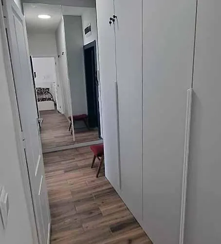 Vintage Près De L'académie De Medecine *